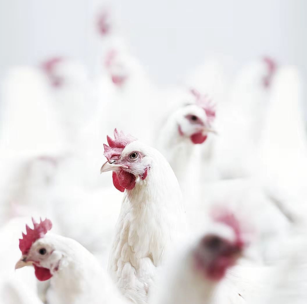 LEwin乐玩·(中国集团)官方网站