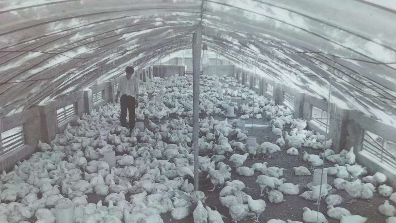 LEwin乐玩·(中国集团)官方网站