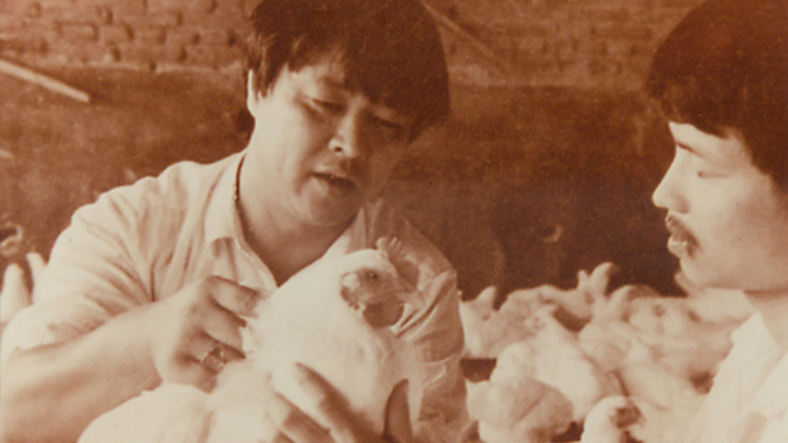 LEwin乐玩·(中国集团)官方网站