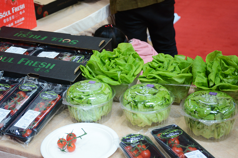 LEwin乐玩·(中国集团)官方网站