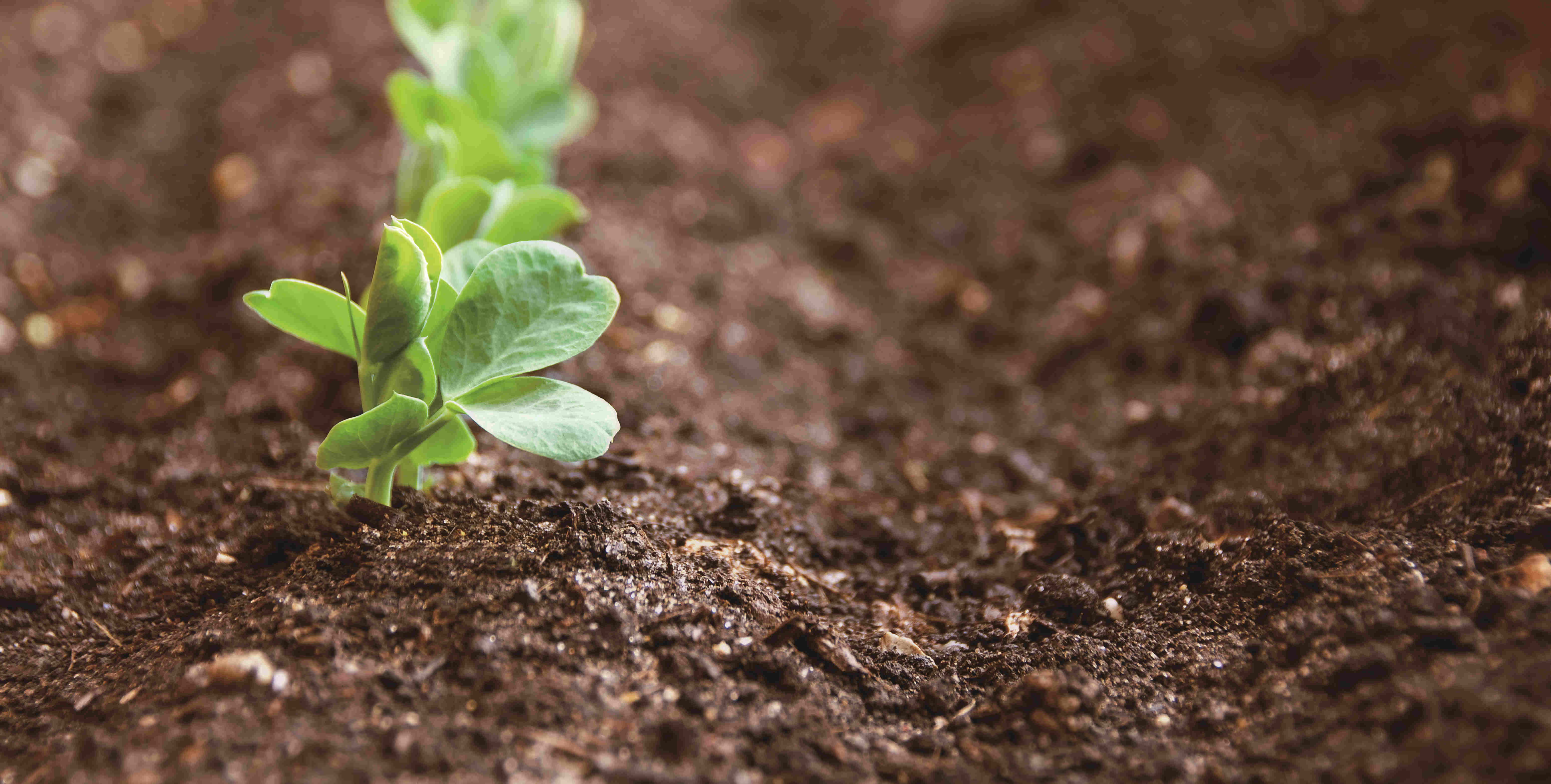 LEwin乐玩·(中国集团)官方网站