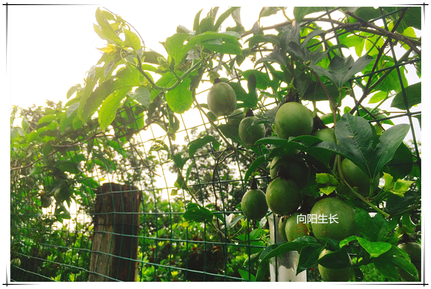 LEwin乐玩·(中国集团)官方网站