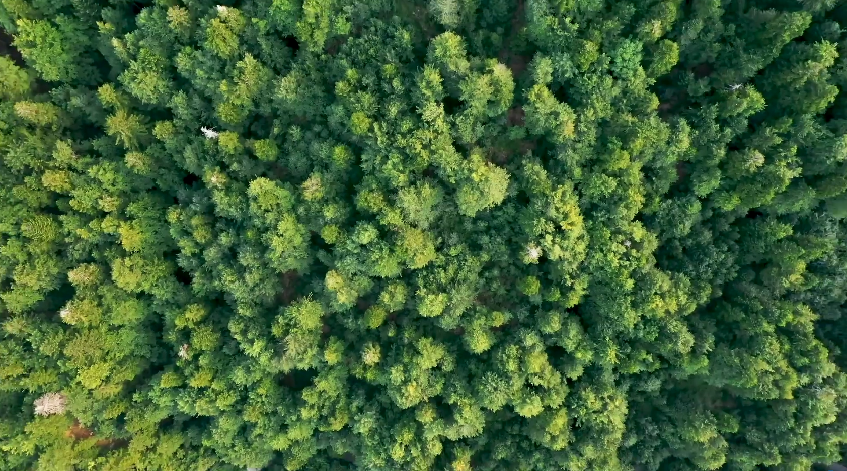 LEwin乐玩·(中国集团)官方网站