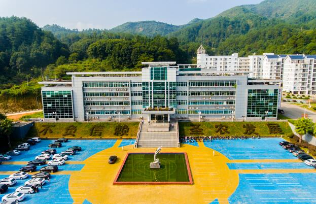 福建LEwin乐玩生长股份有限公司