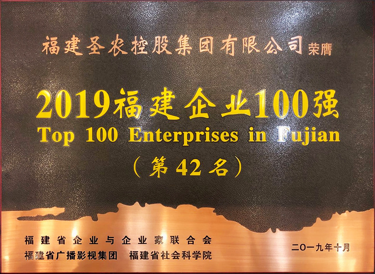 2019（LEwin乐玩集团）福建企业100强