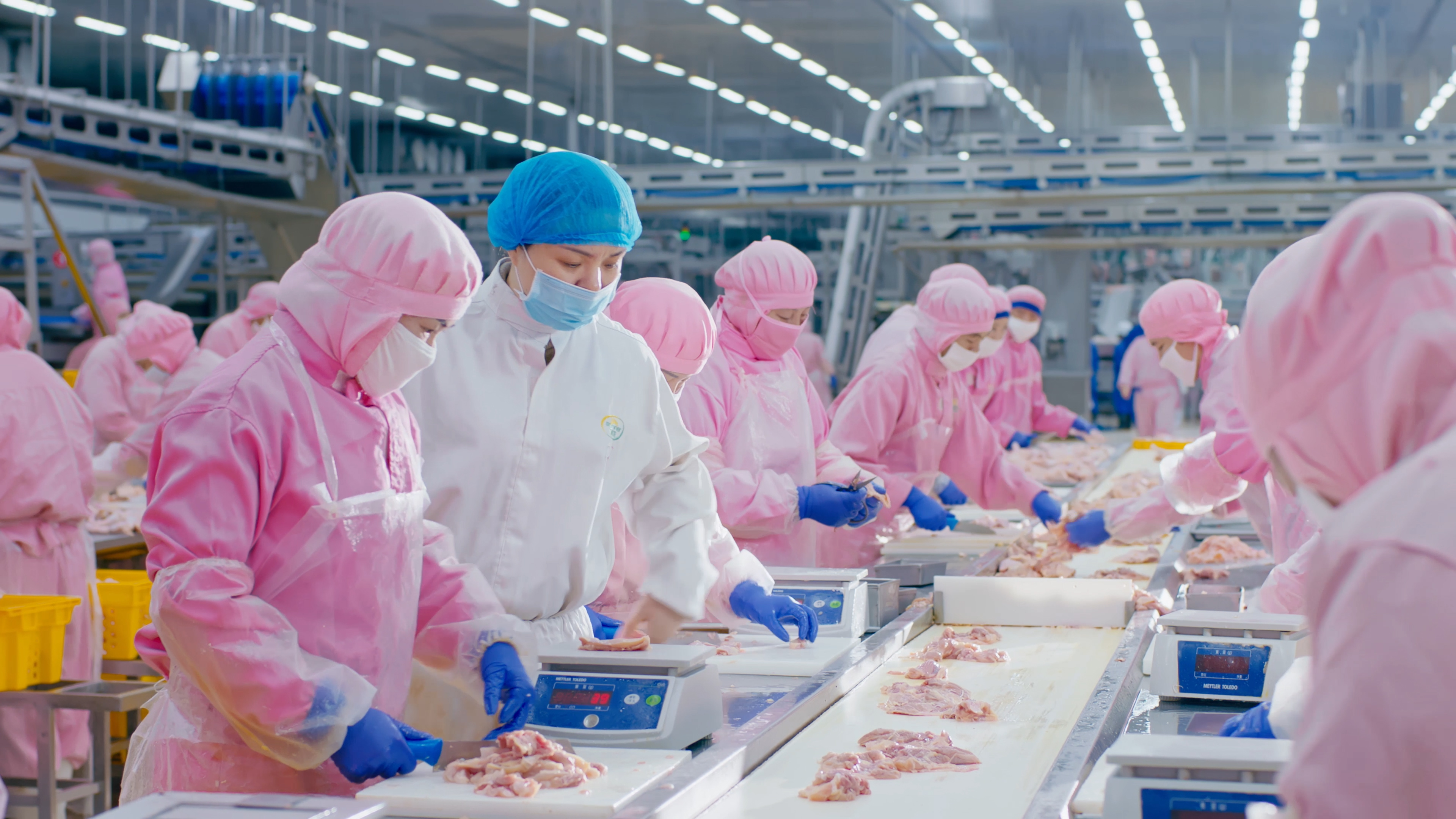 以人为本，，，，，携手员工配合生长